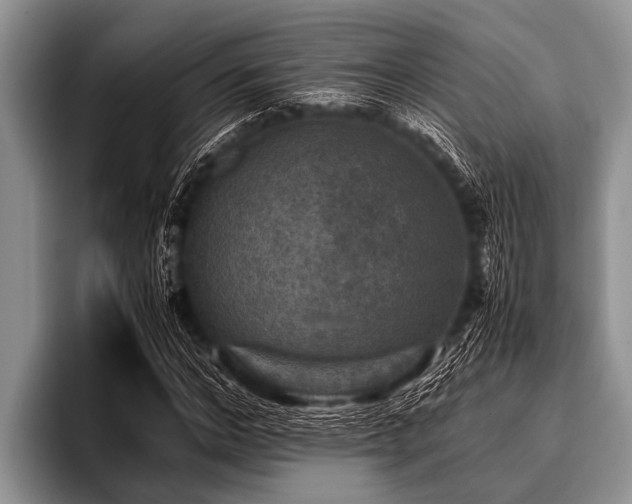 X0000096980968200802081404