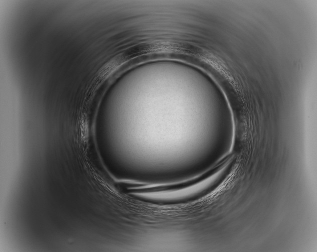 X0000096980969200802081404