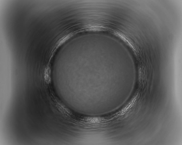 X0000096980970200802081404