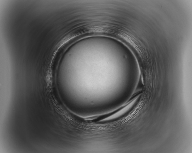 X0000096980971200802081404