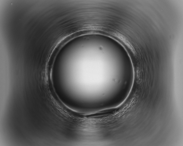 X0000096980972200802081404