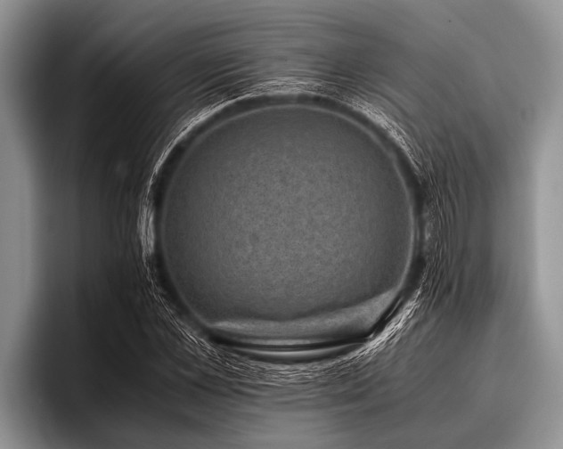 X0000096980973200802081404