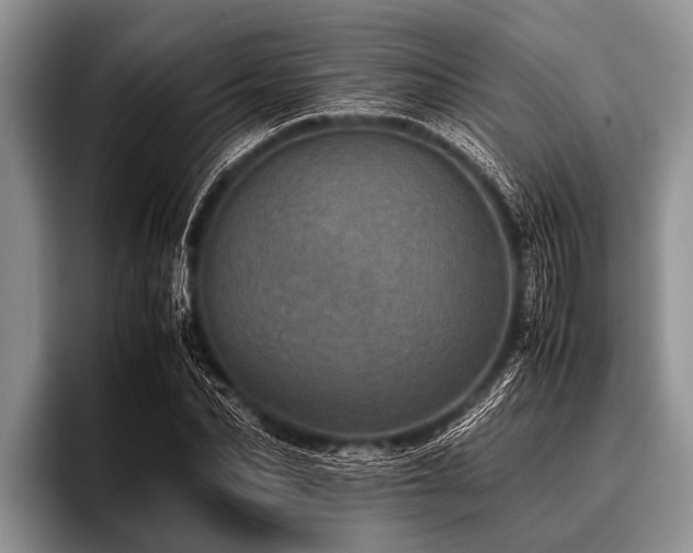 X0000096980974200802081404