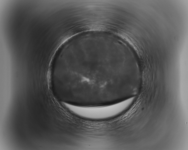 X0000096980975200802081404