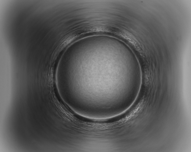 X0000096980977200802081404