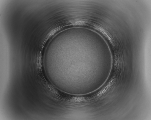 X0000096980978200802081404