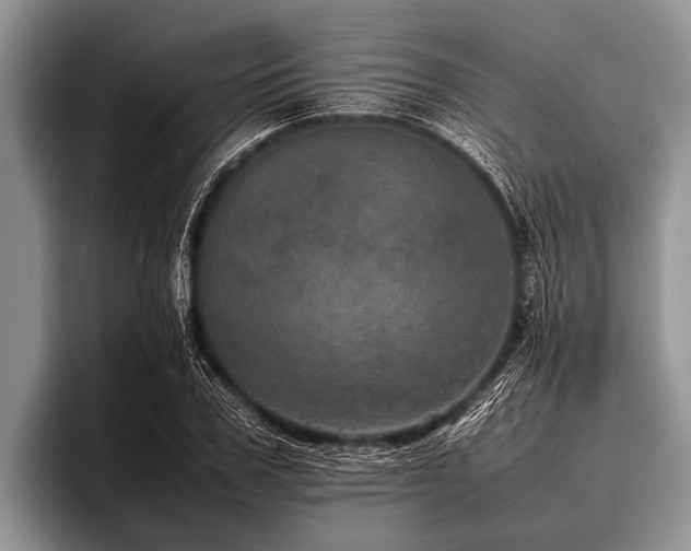 X0000096980979200802081404