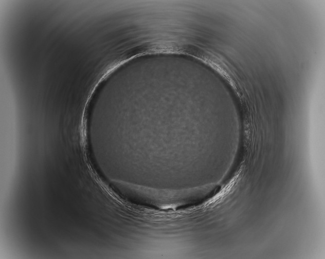 X0000096980981200802081404