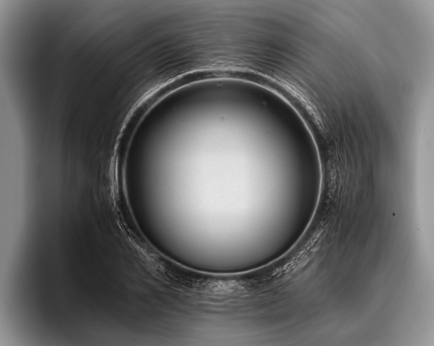 X0000096980982200802081404