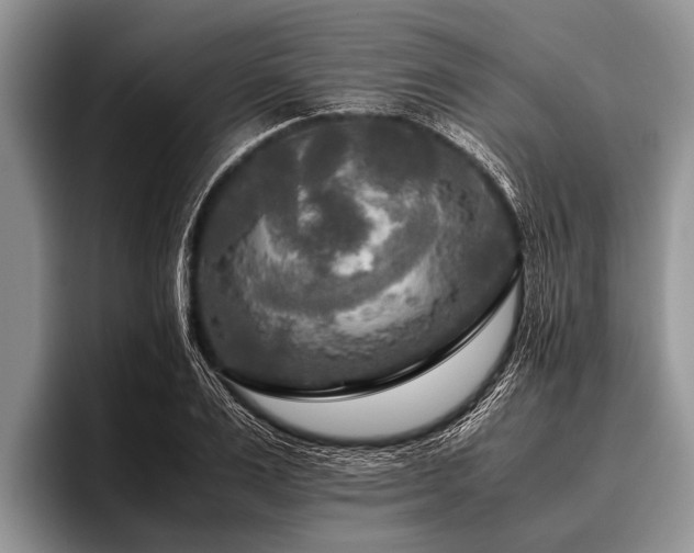 X0000096980983200802081404