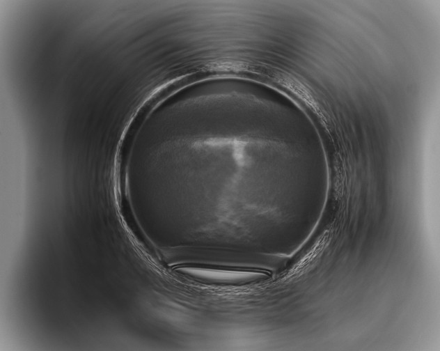 X0000096980984200802081404