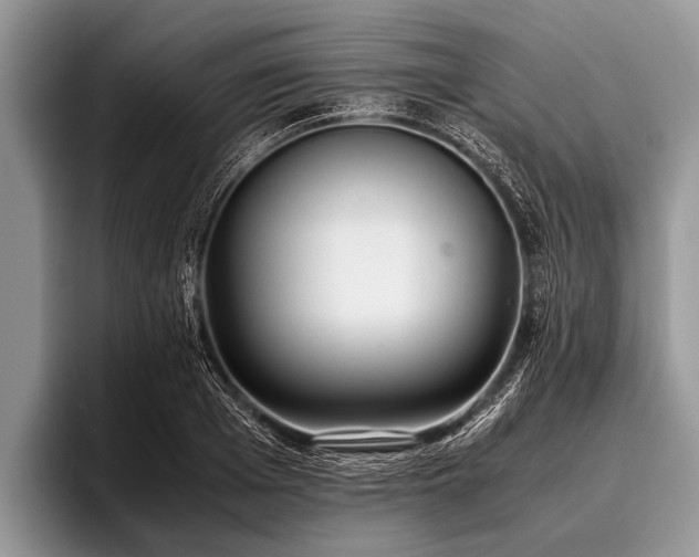 X0000096980985200802081404