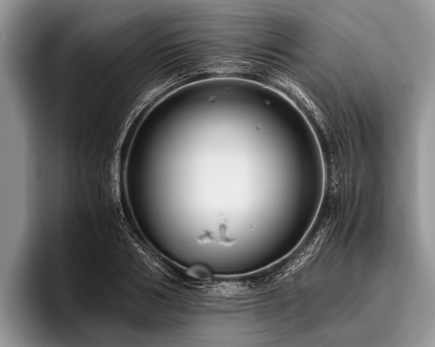 X0000096980986200802081404