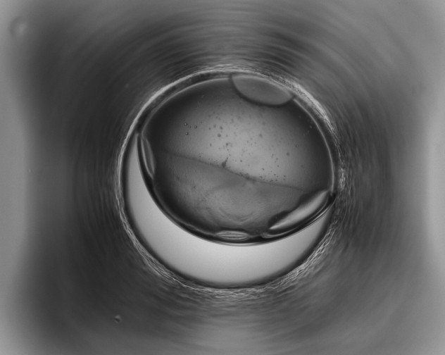 X0000096980988200802081404