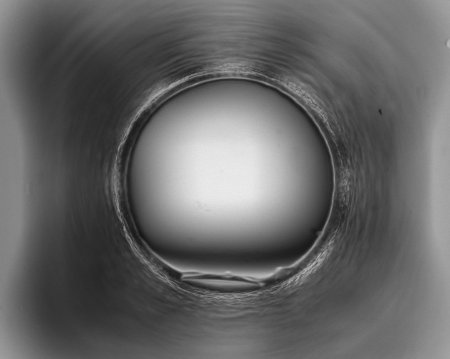 X0000096980989200802081404