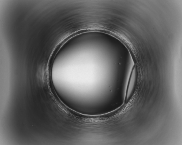 X0000096980990200802081404