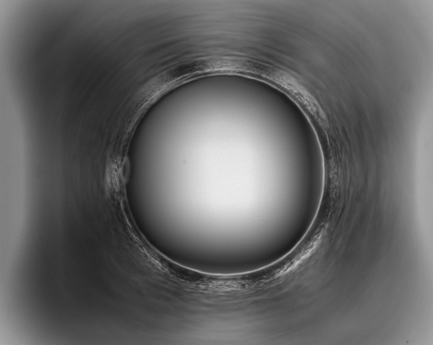 X0000096980993200802081404