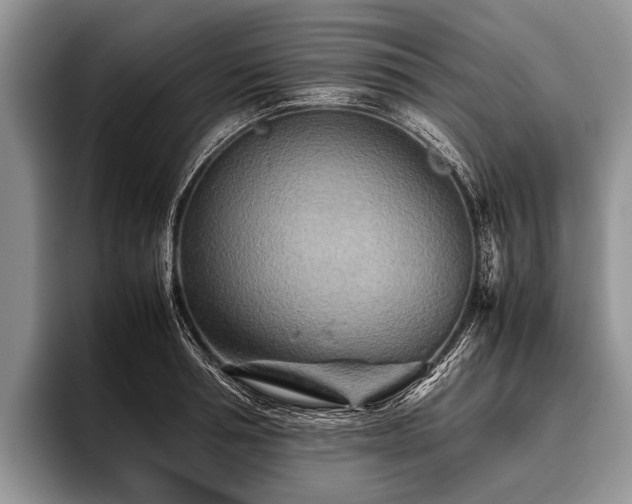 X0000096980994200802081404