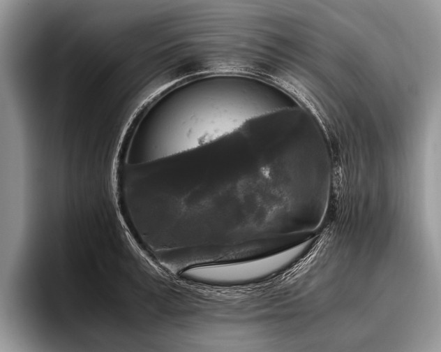 X0000096980995200802081404