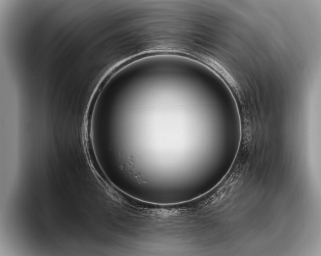 X0000096980996200802081404