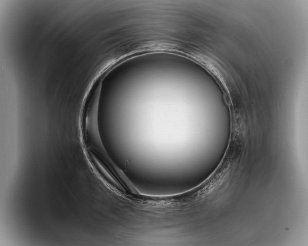 X0000096980997200802081404