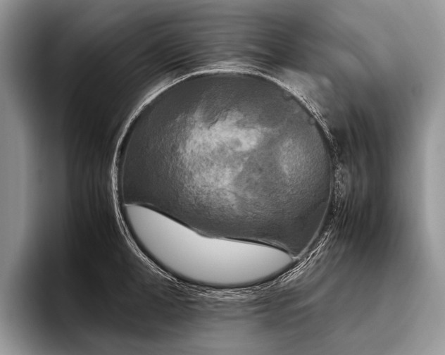 X0000096980998200802081404