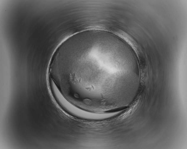 X0000096980999200802081404