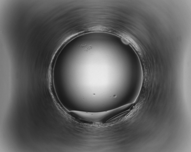 X0000096981000200802081404