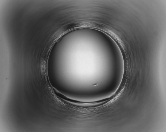 X0000096981001200802081404