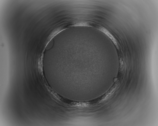 X0000096981002200802081404