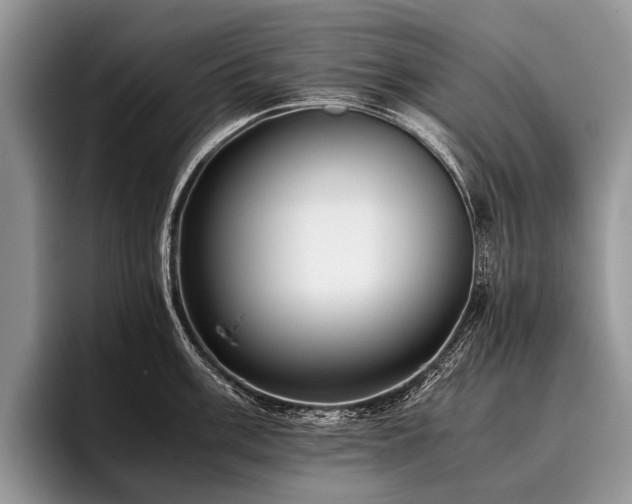 X0000096981003200802081404