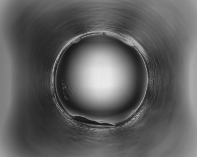 X0000096981004200802081404