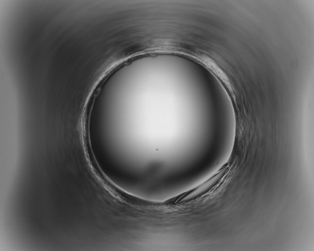 X0000096981005200802081404