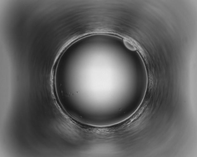 X0000096981006200802081404