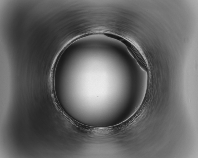 X0000096981008200802081403