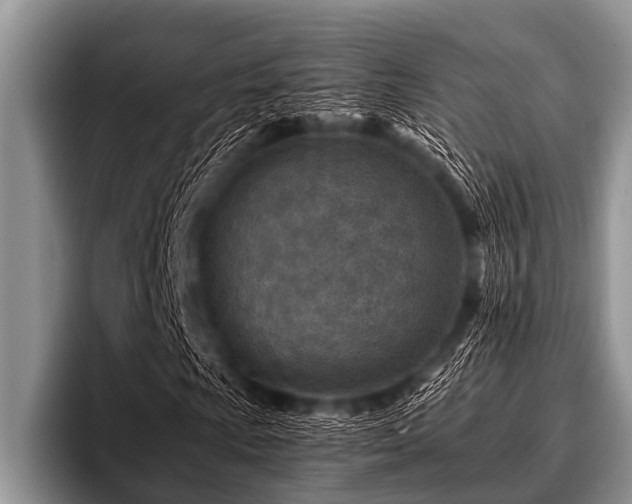 X0000096981009200802081403