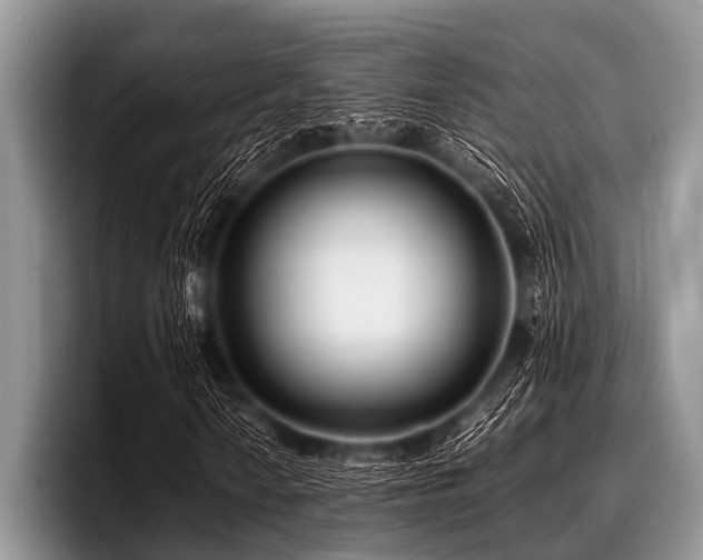 X0000096981010200802081403