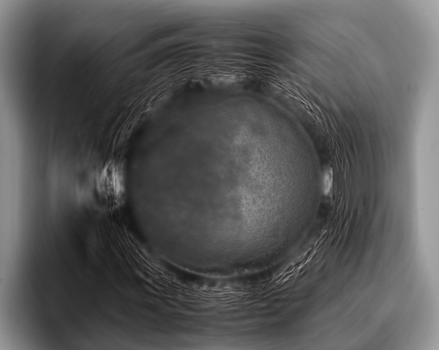 X0000096981011200802081403