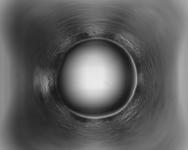 X0000096981012200802081403