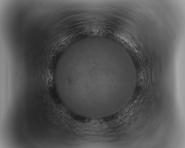 X0000096981013200802081403