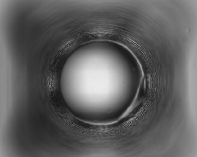 X0000096981014200802081403