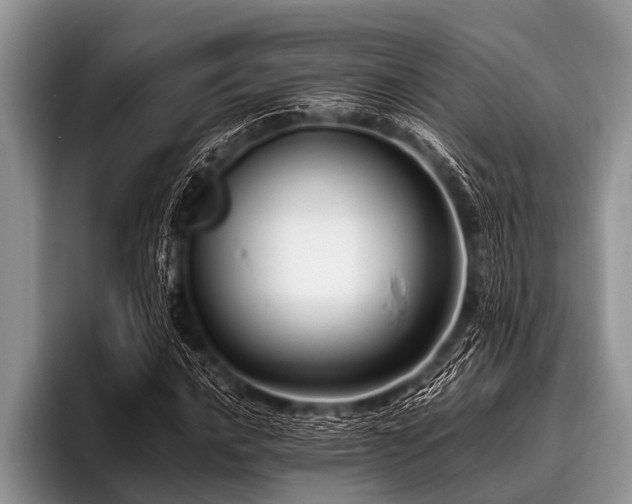 X0000096981016200802081403