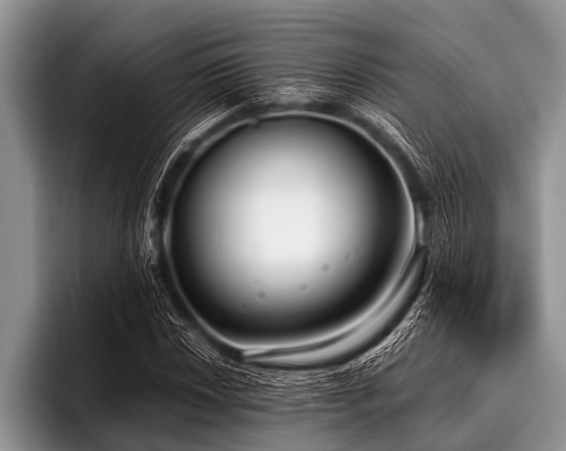 X0000096981018200802081403