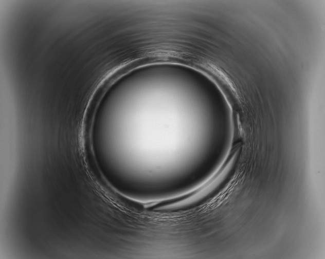 X0000096981020200802081403