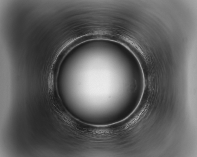 X0000096981021200802081403