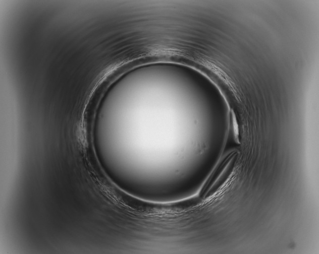 X0000096981022200802081403