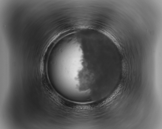 X0000096981023200802081403