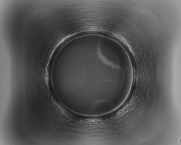 X0000096981024200802081403