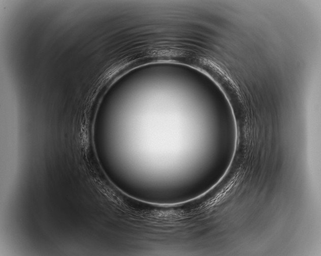 X0000096981025200802081403