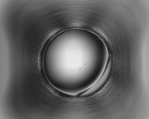 X0000096981026200802081403